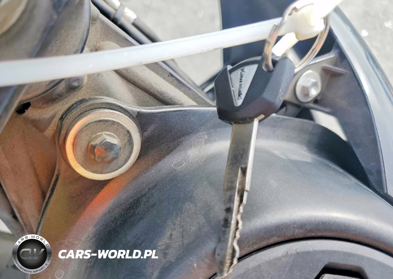 2023 Kawasaki Klx230 S VIN:MH4LXCS13PJP01293 - 8