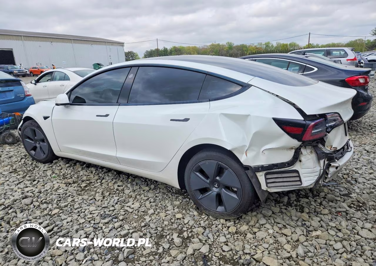 2023 Tesla Model 3 VIN:5YJ3E1EAXPF473325 - 2