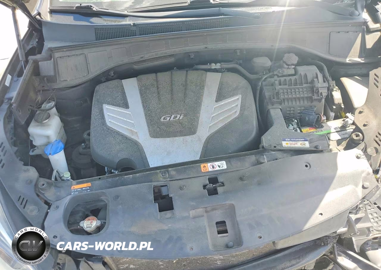 2019 Hyundai Santa Fe Xl Limited Ultimate VIN:KM8SR4HFXKU305558 - 11