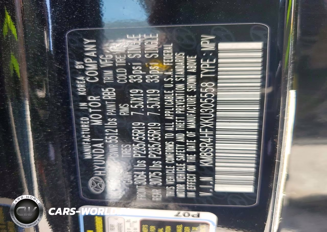 2019 Hyundai Santa Fe Xl Limited Ultimate VIN:KM8SR4HFXKU305558 - 12