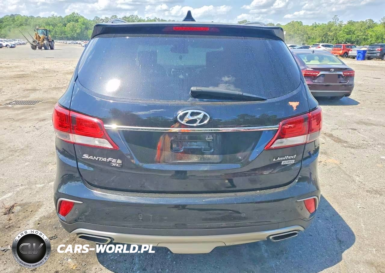 2019 Hyundai Santa Fe Xl Limited Ultimate VIN:KM8SR4HFXKU305558 - 6