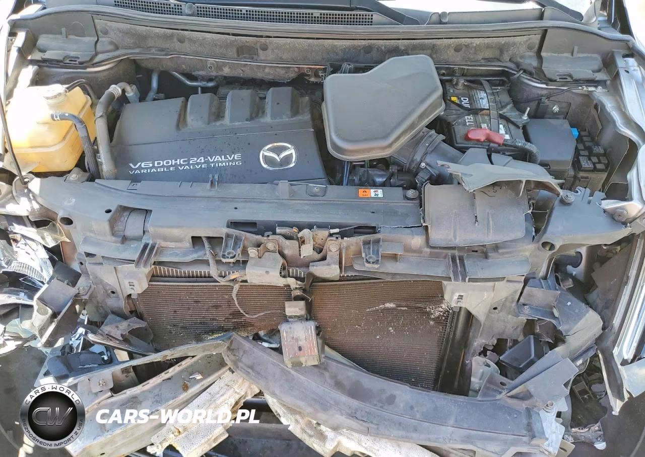 2009 Mazda Cx-9 VIN:JM3TB28V090167319 - 12