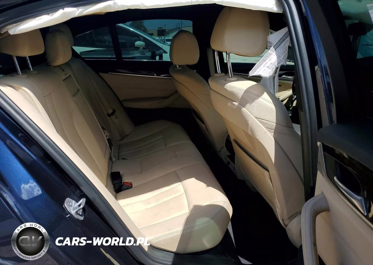 2017 BMW 530 Xi VIN:WBAJA7C34HG905907 - 10