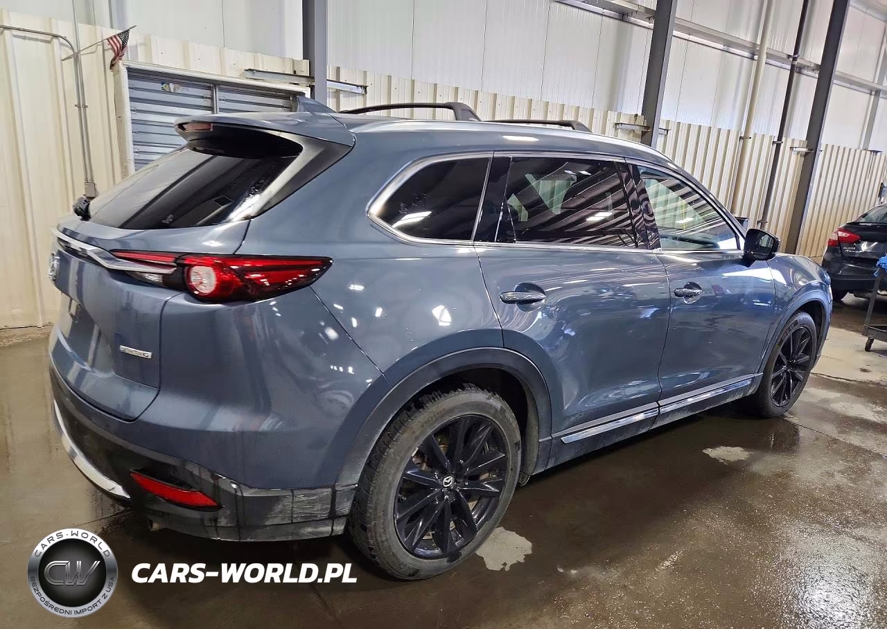 2022 Mazda Cx-9 Grand Touring VIN:JM3TCBDY5N0622530 - 3