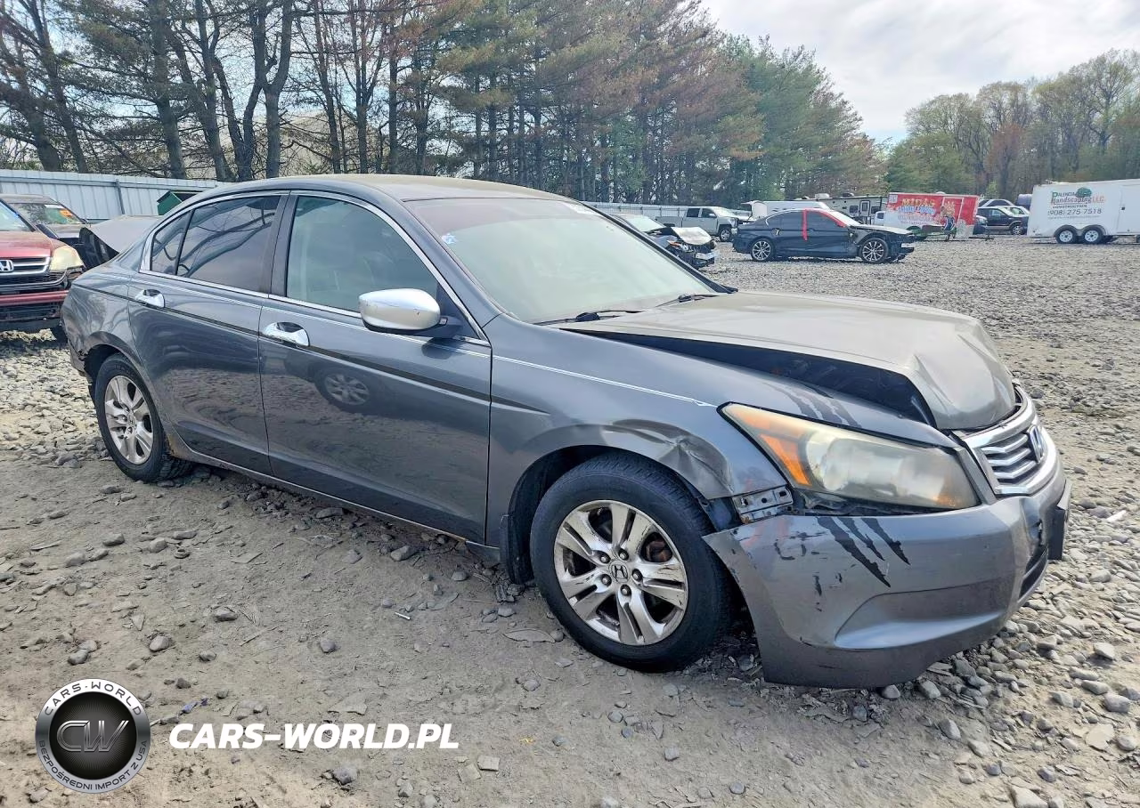 2010 Honda Accord Lxp VIN:1HGCP2F43AA191408 - 4