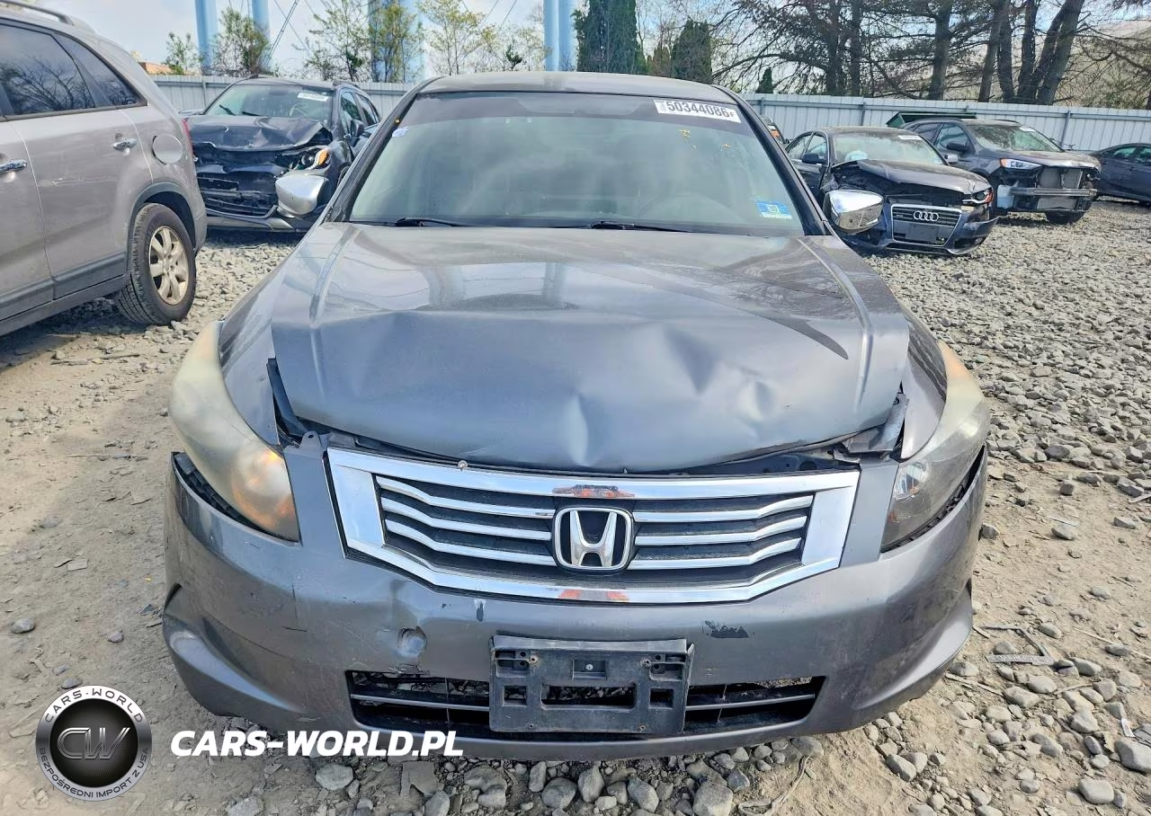 2010 Honda Accord Lxp VIN:1HGCP2F43AA191408 - 5