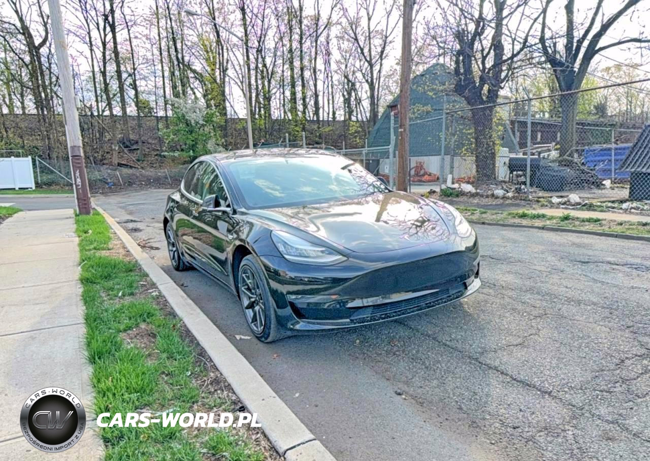 2019 Tesla Model 3