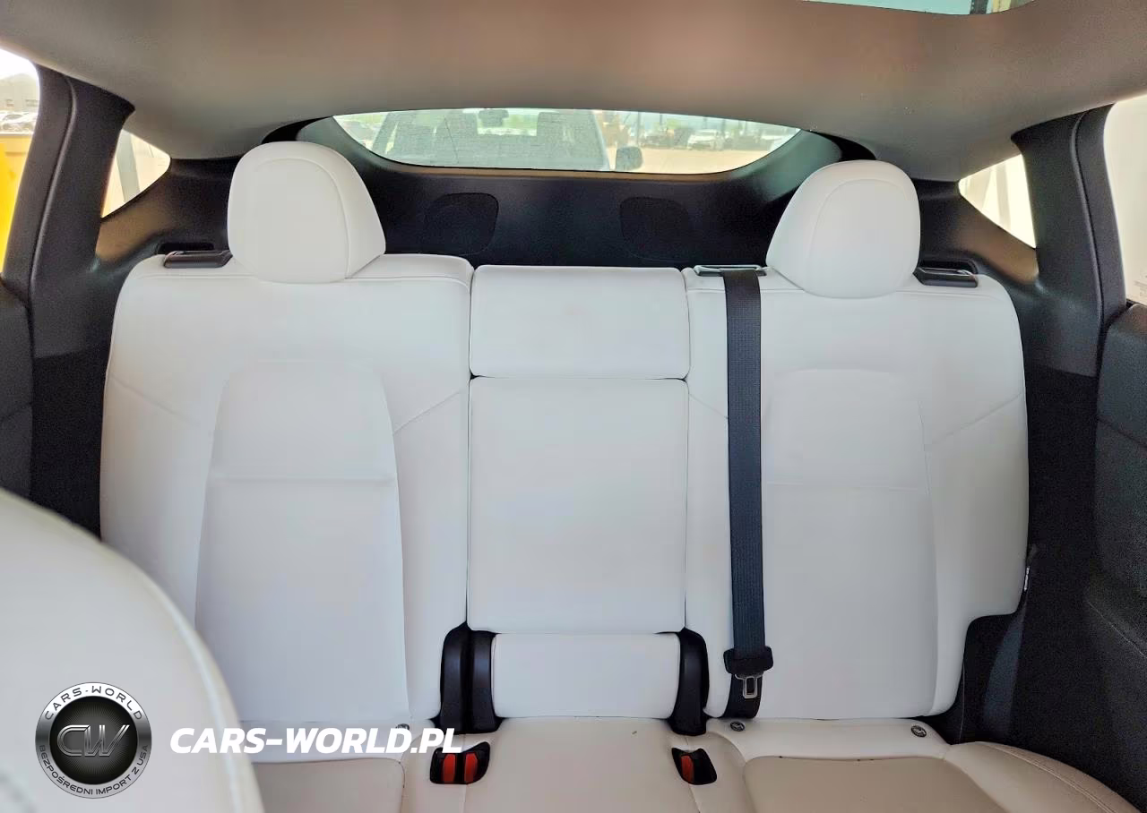 2023 Tesla Model Y VIN:7SAYGDEE1PA154822 - 10