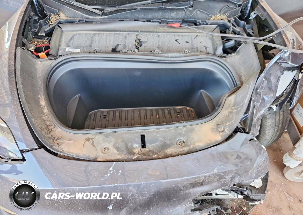 2023 Tesla Model Y VIN:7SAYGDEE1PA154822 - 12