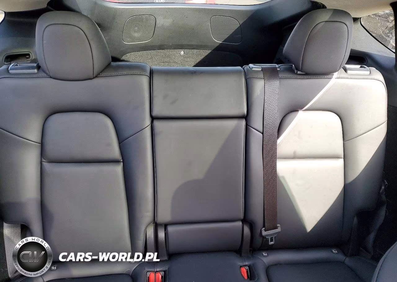 2023 Tesla Model Y VIN:7SAYGDEF8PF769847 - 10
