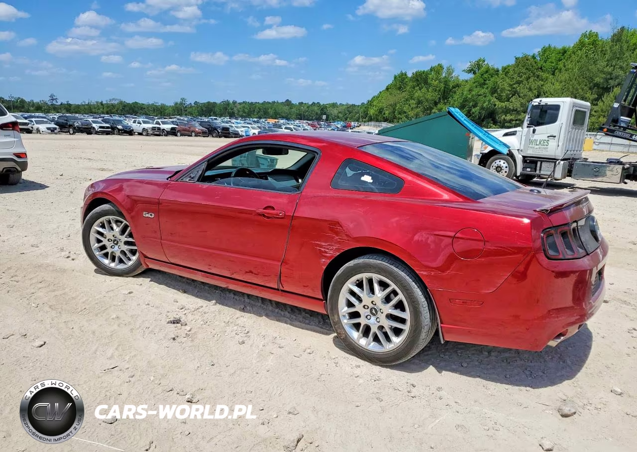 2014 Ford Mustang Gt VIN:1ZVBP8CF1E5251541 - 2