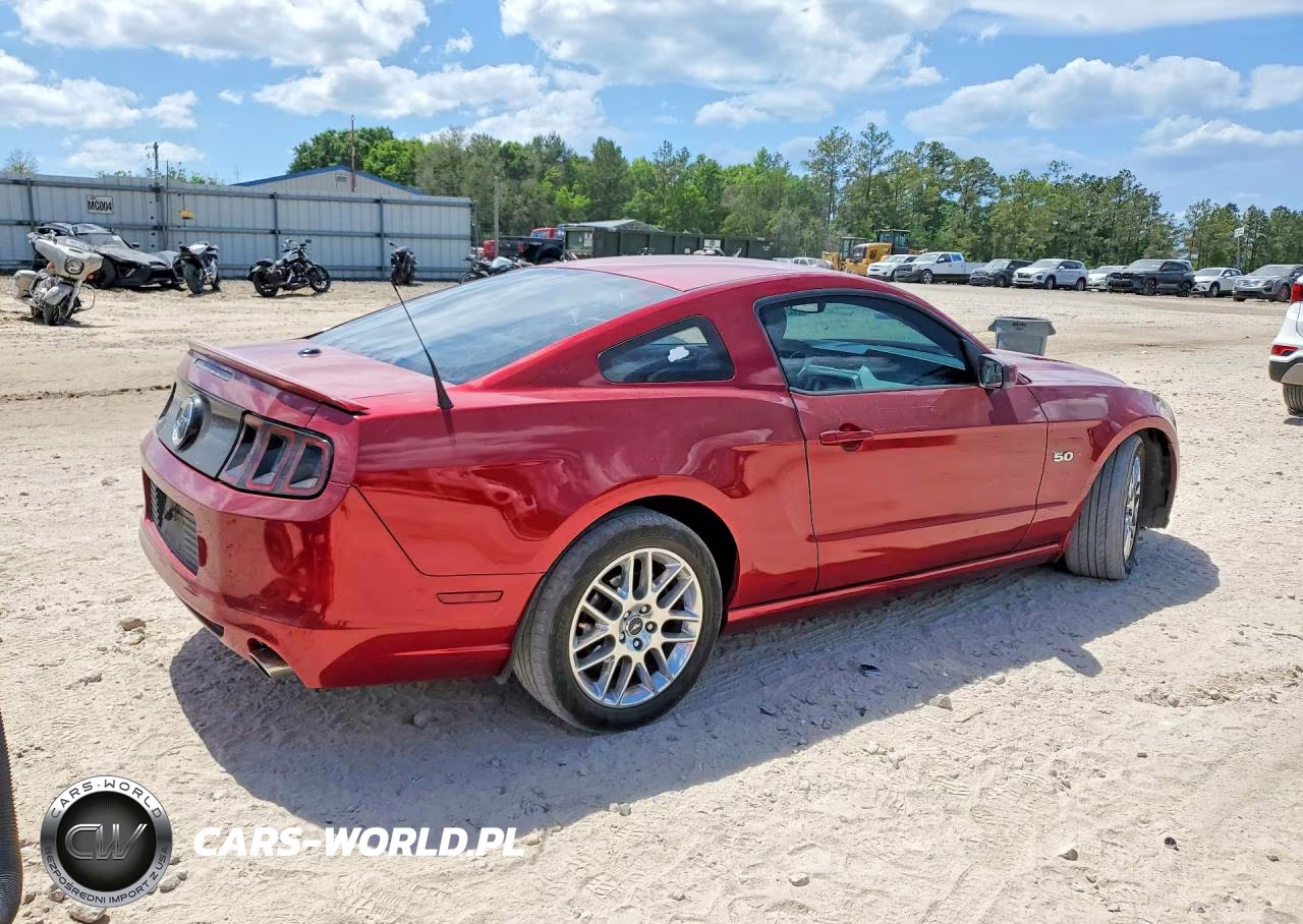 2014 Ford Mustang Gt VIN:1ZVBP8CF1E5251541 - 3