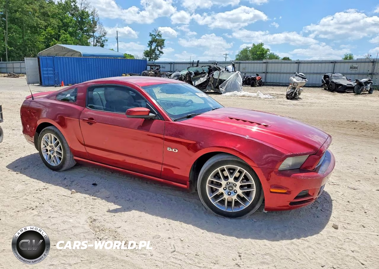 2014 Ford Mustang Gt VIN:1ZVBP8CF1E5251541 - 4