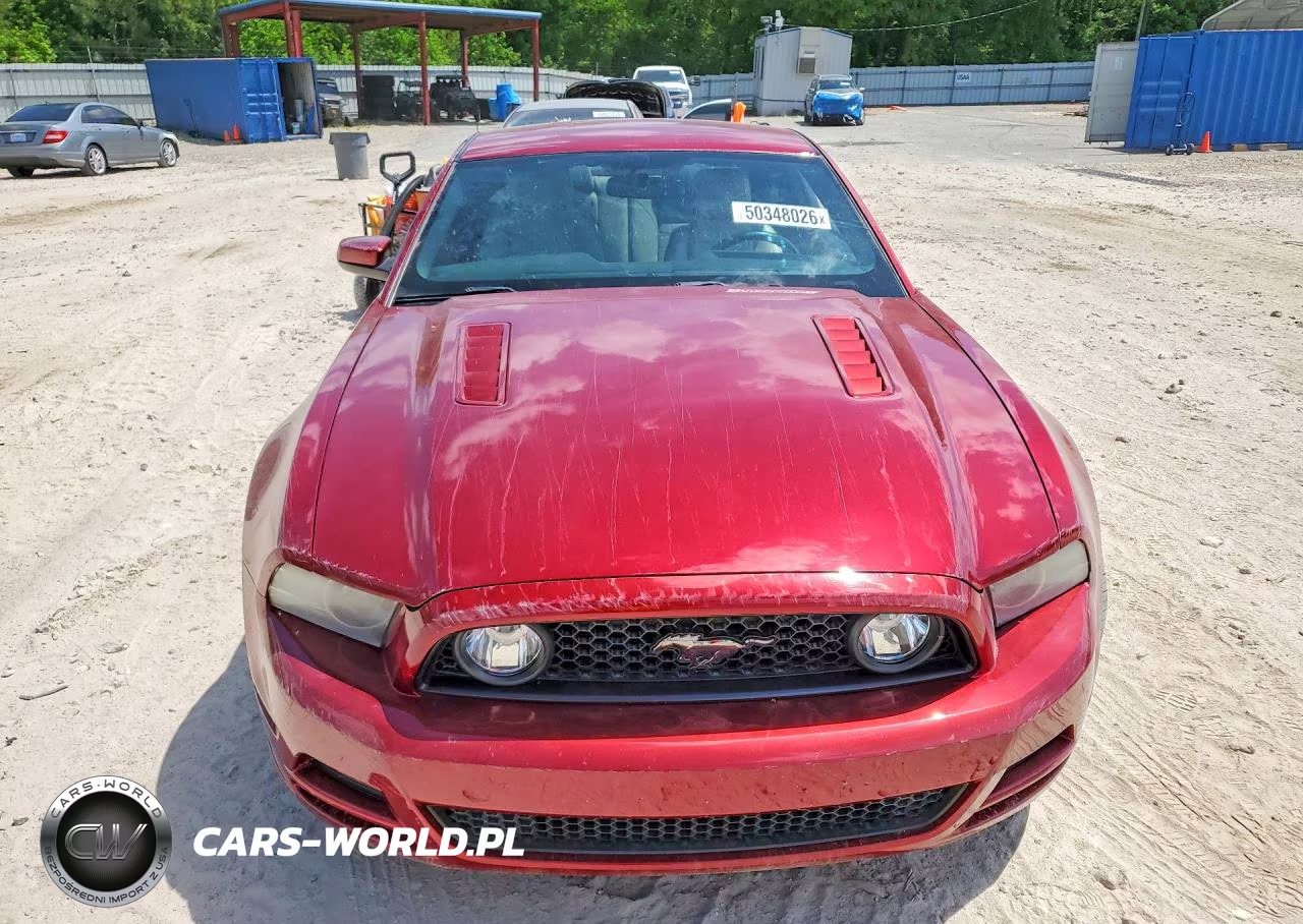 2014 Ford Mustang Gt VIN:1ZVBP8CF1E5251541 - 5
