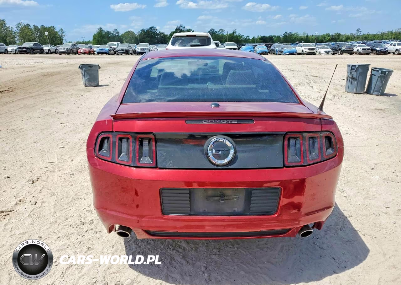 2014 Ford Mustang Gt VIN:1ZVBP8CF1E5251541 - 6