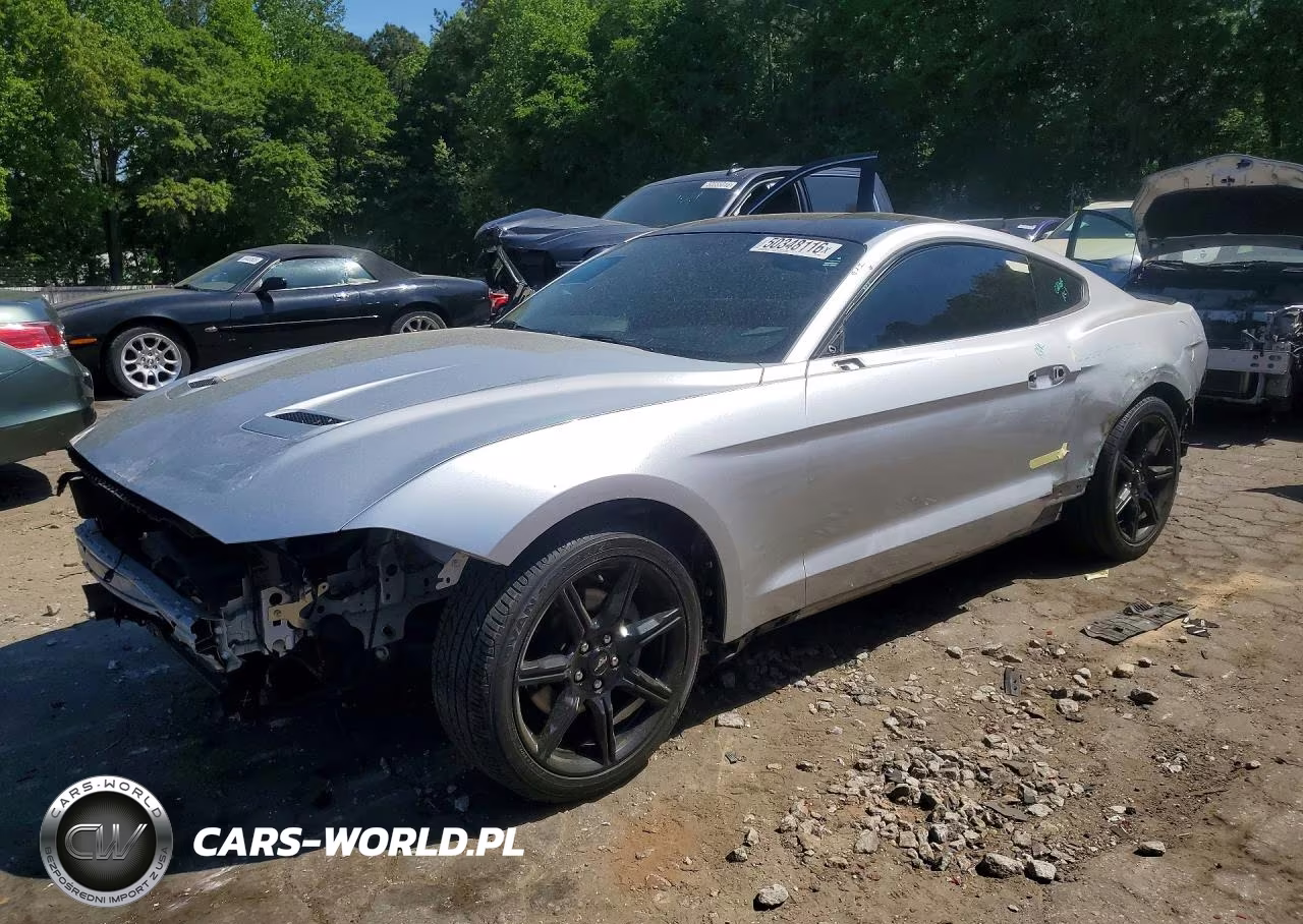 2019 Ford Mustang
