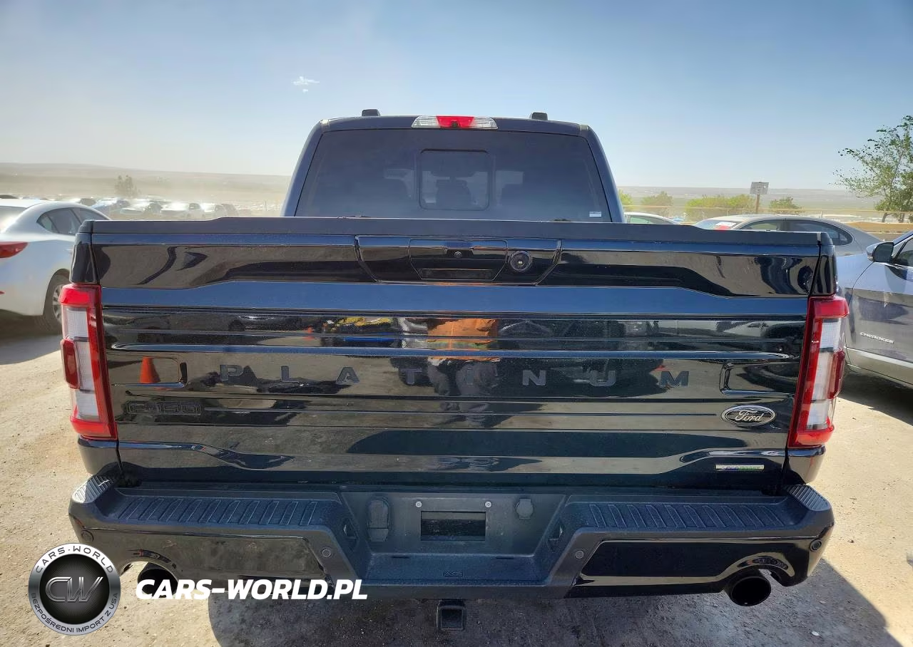 2023 Ford F150 Supercrew VIN:1FTFW1E88PFA20162 - 6