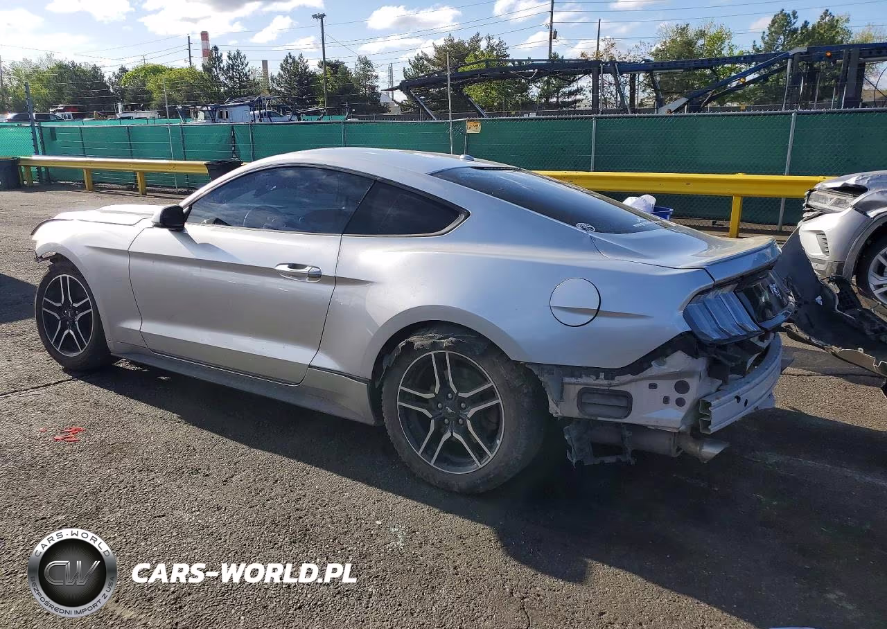 2017 Ford Mustang VIN:1FA6P8TH9H5205374 - 2