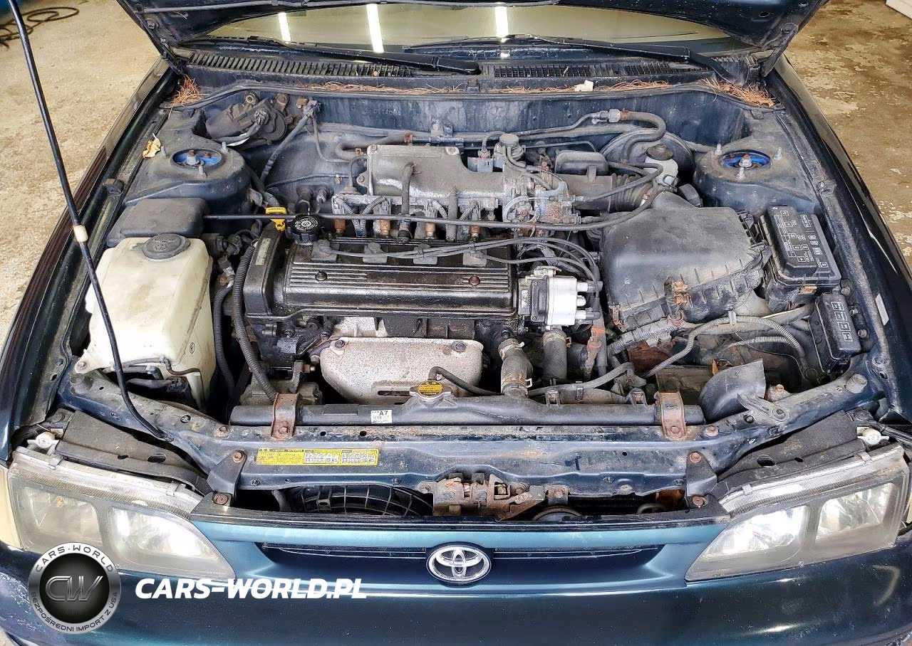 1996 Toyota Corolla Dx VIN:JT2EB02E0T0114084 - 11