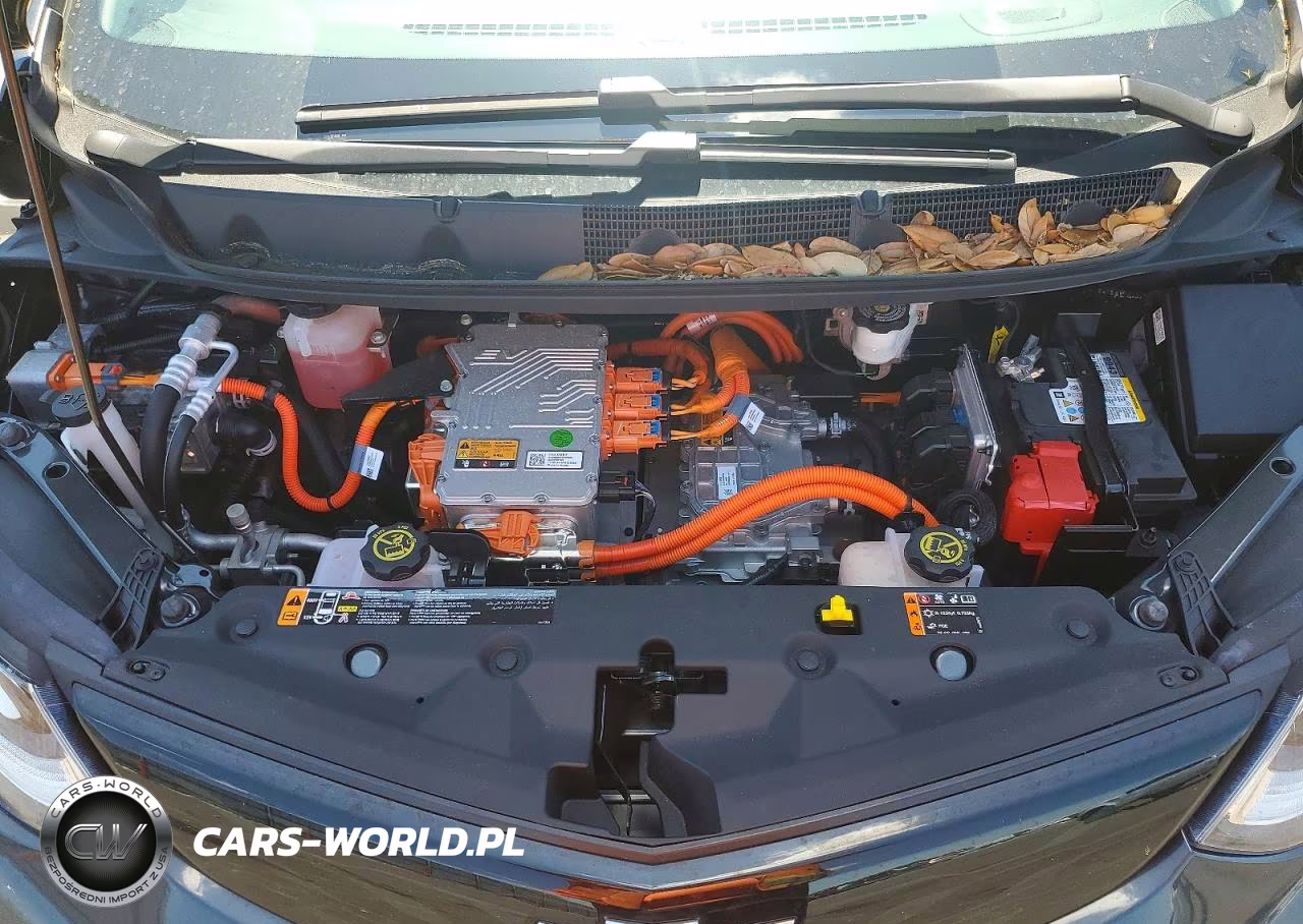 2019 Chevrolet Bolt Ev Premier VIN:1G1FZ6S03K4103692 - 11