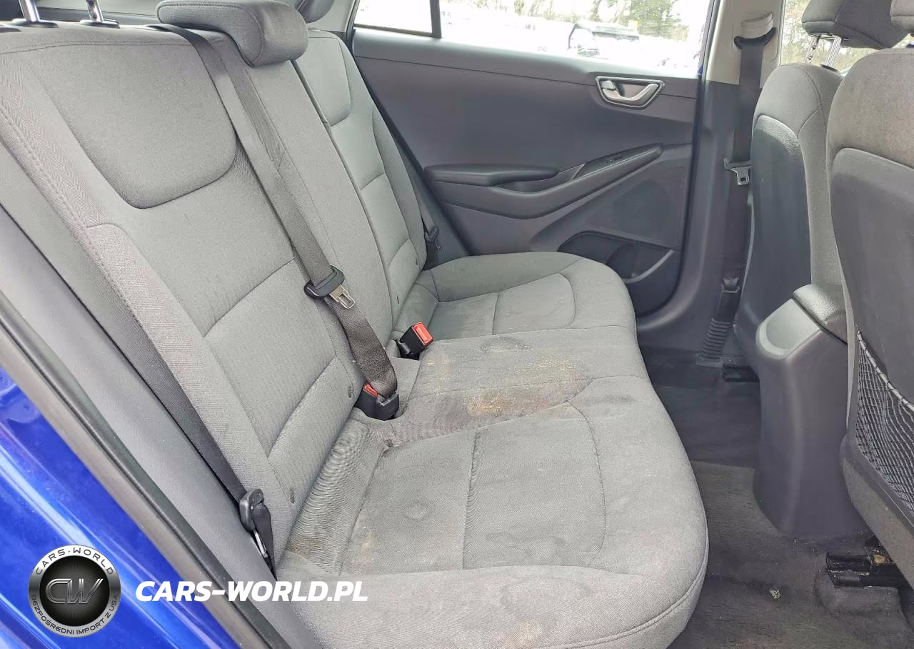 2020 Hyundai Ioniq Blue VIN:KMHC65LCXLU241748 - 10