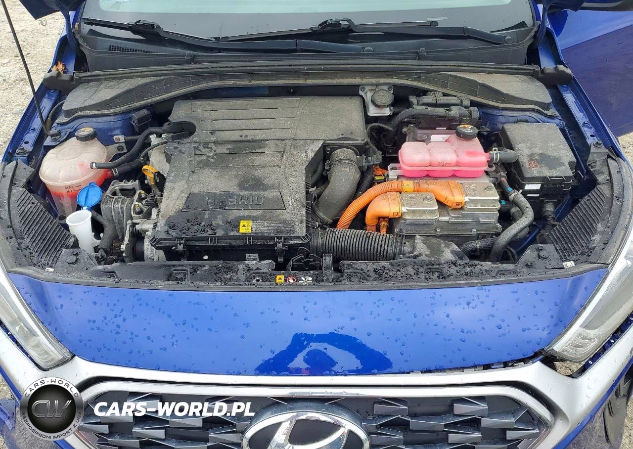 2020 Hyundai Ioniq Blue VIN:KMHC65LCXLU241748 - 11