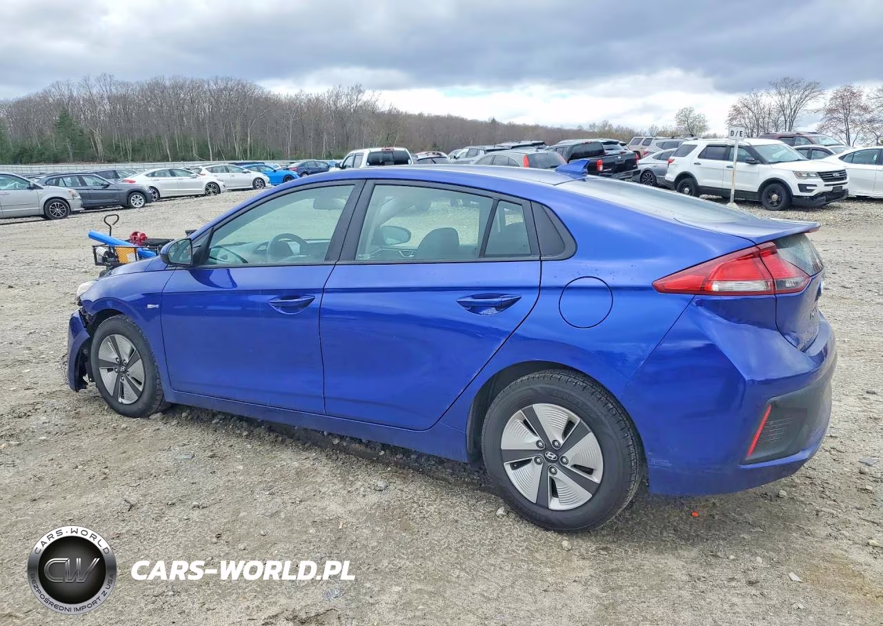 2020 Hyundai Ioniq Blue VIN:KMHC65LCXLU241748 - 2