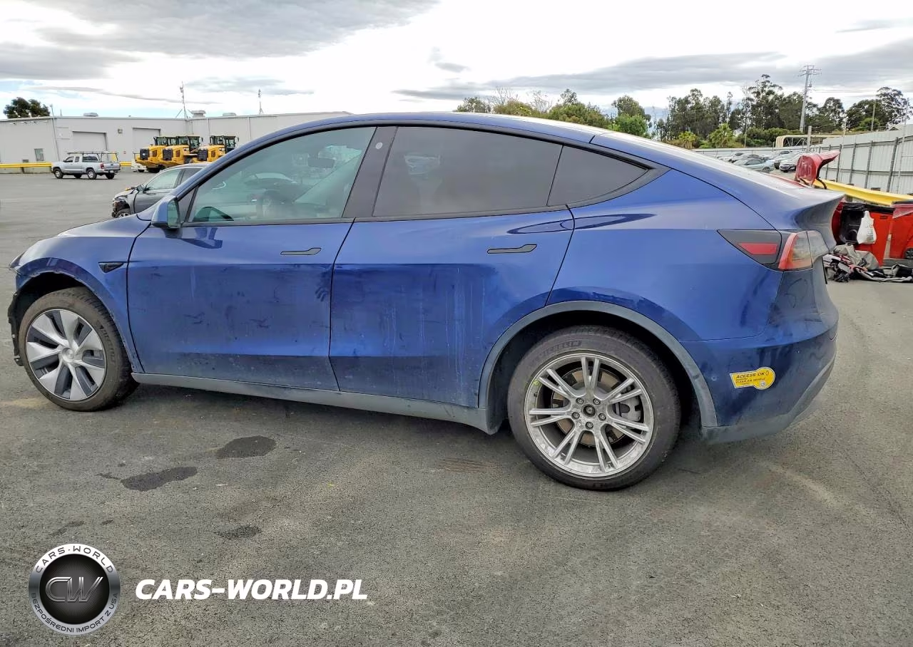 2022 Tesla Model Y VIN:7SAYGDEE1NF550734 - 2