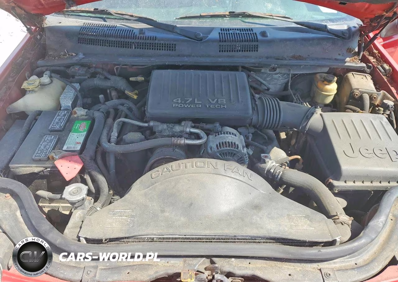 1999 Jeep Grand Cherokee Limited VIN:1J4GW68N4XC695246 - 12