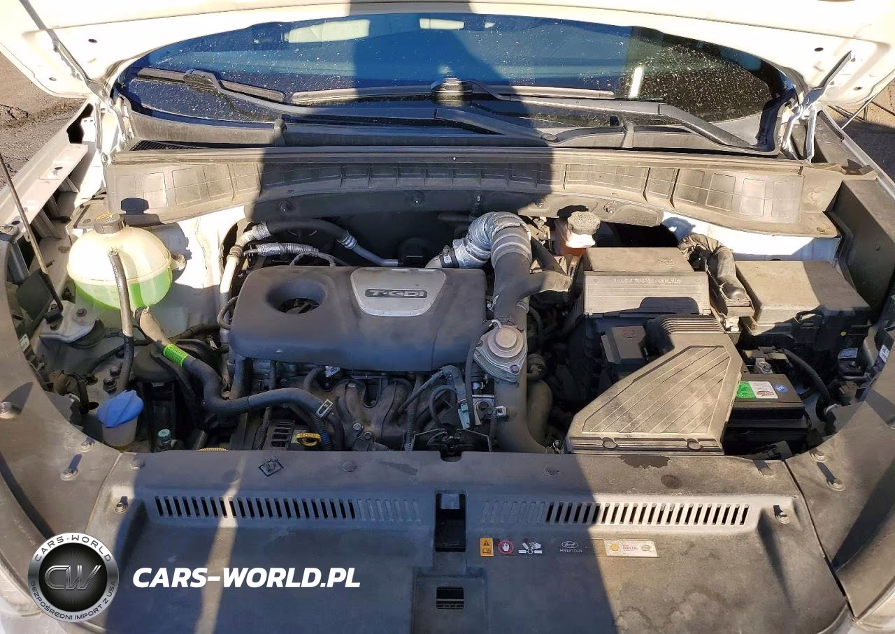 2017 Hyundai Tucson Value VIN:KM8J3CA20HU581688 - 12
