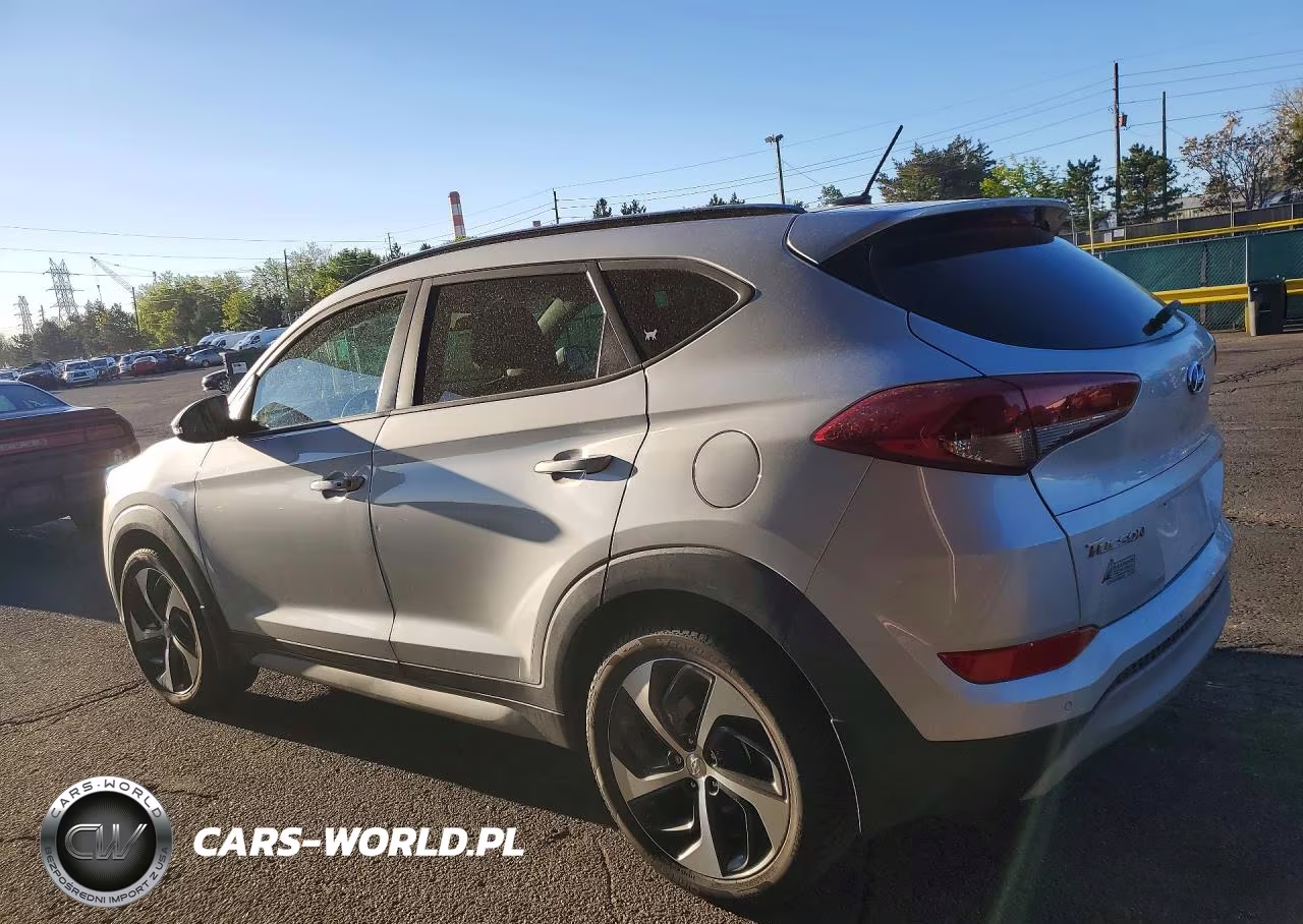 2017 Hyundai Tucson Value VIN:KM8J3CA20HU581688 - 2