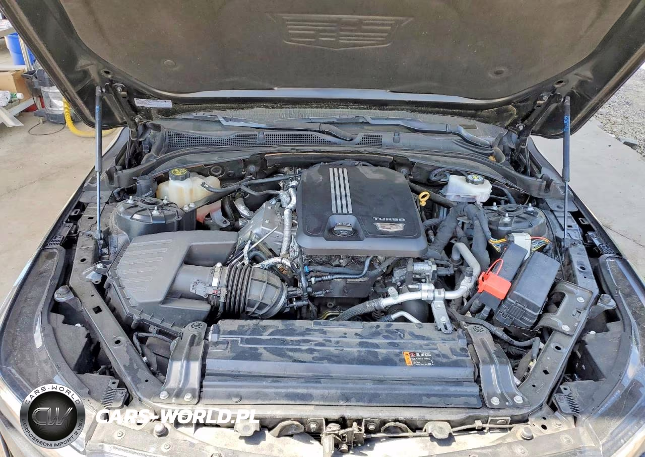 2021 Cadillac Ct4 Sport VIN:1G6DG5RK6M0128041 - 11
