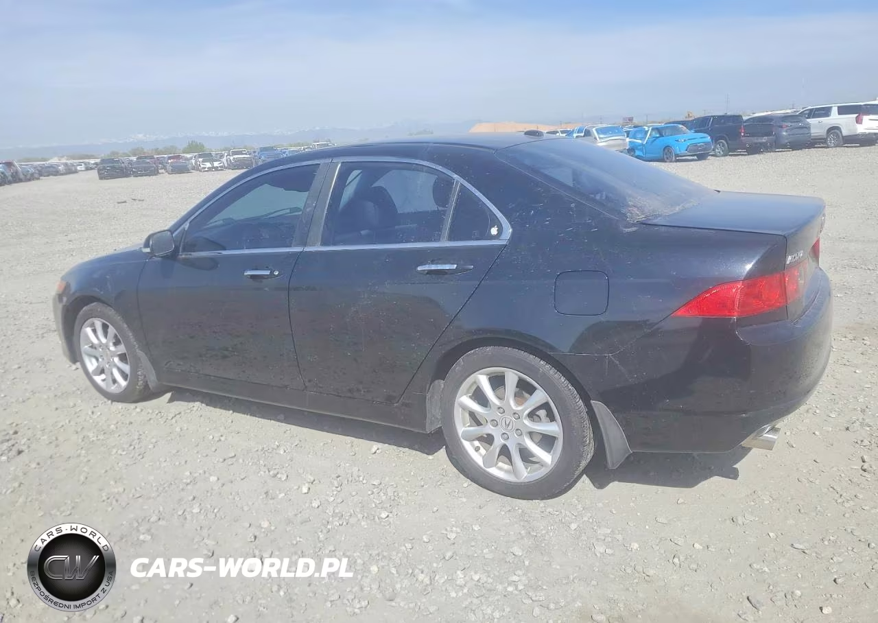 2006 Acura Tsx VIN:JH4CL96926C009111 - 2