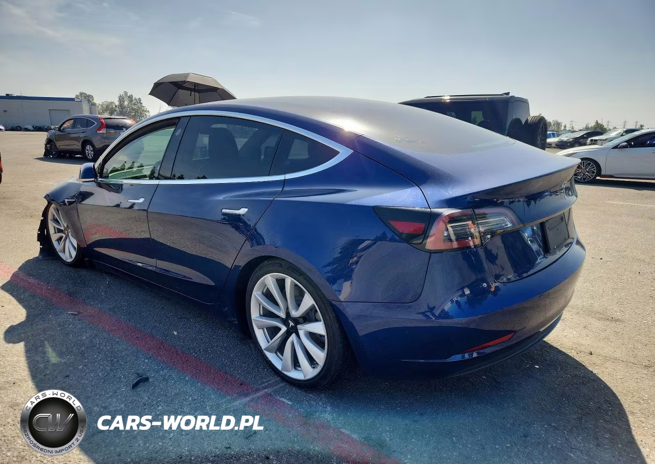 2019 Tesla Model 3 VIN:5YJ3E1EA1KF301273 - 2