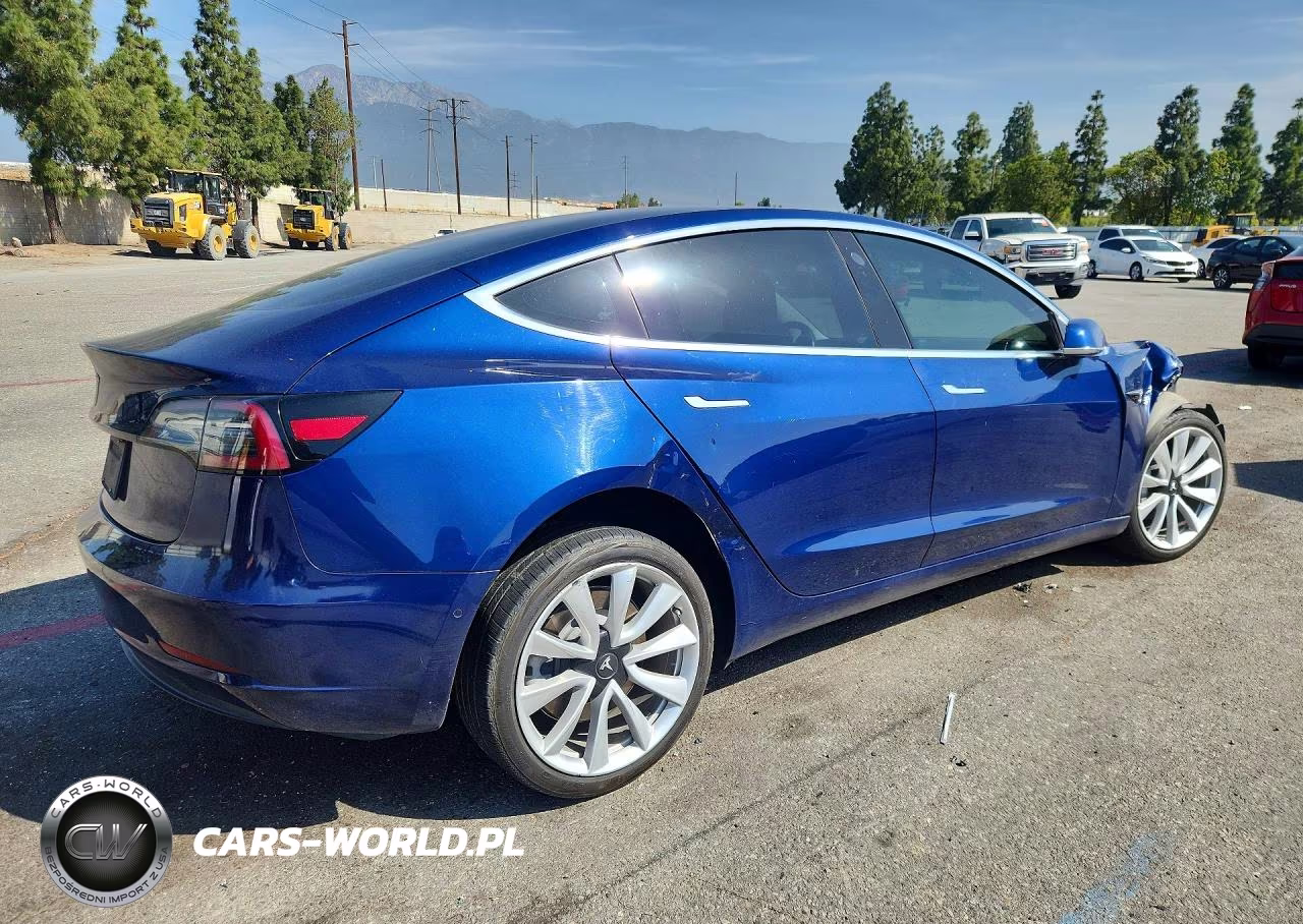 2019 Tesla Model 3 VIN:5YJ3E1EA1KF301273 - 3