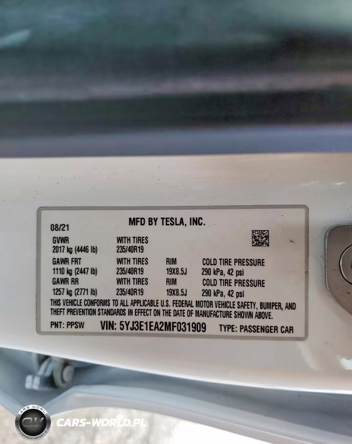 2021 Tesla Model 3 VIN:5YJ3E1EA2MF031909 - 12
