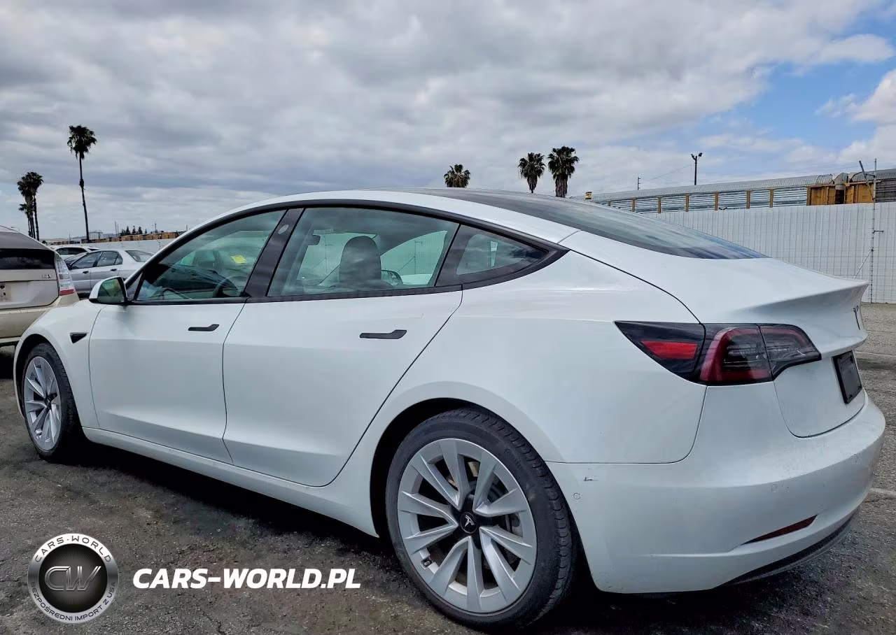 2021 Tesla Model 3 VIN:5YJ3E1EA2MF031909 - 2