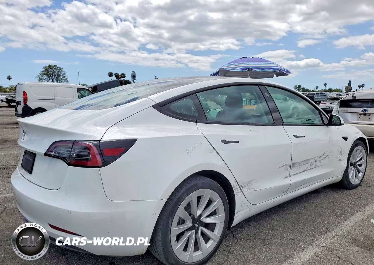 2021 Tesla Model 3 VIN:5YJ3E1EA2MF031909 - 3