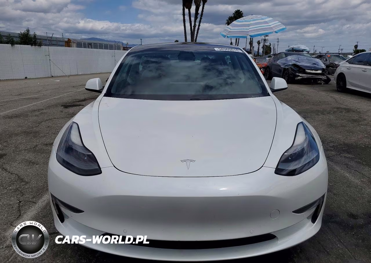 2021 Tesla Model 3 VIN:5YJ3E1EA2MF031909 - 5