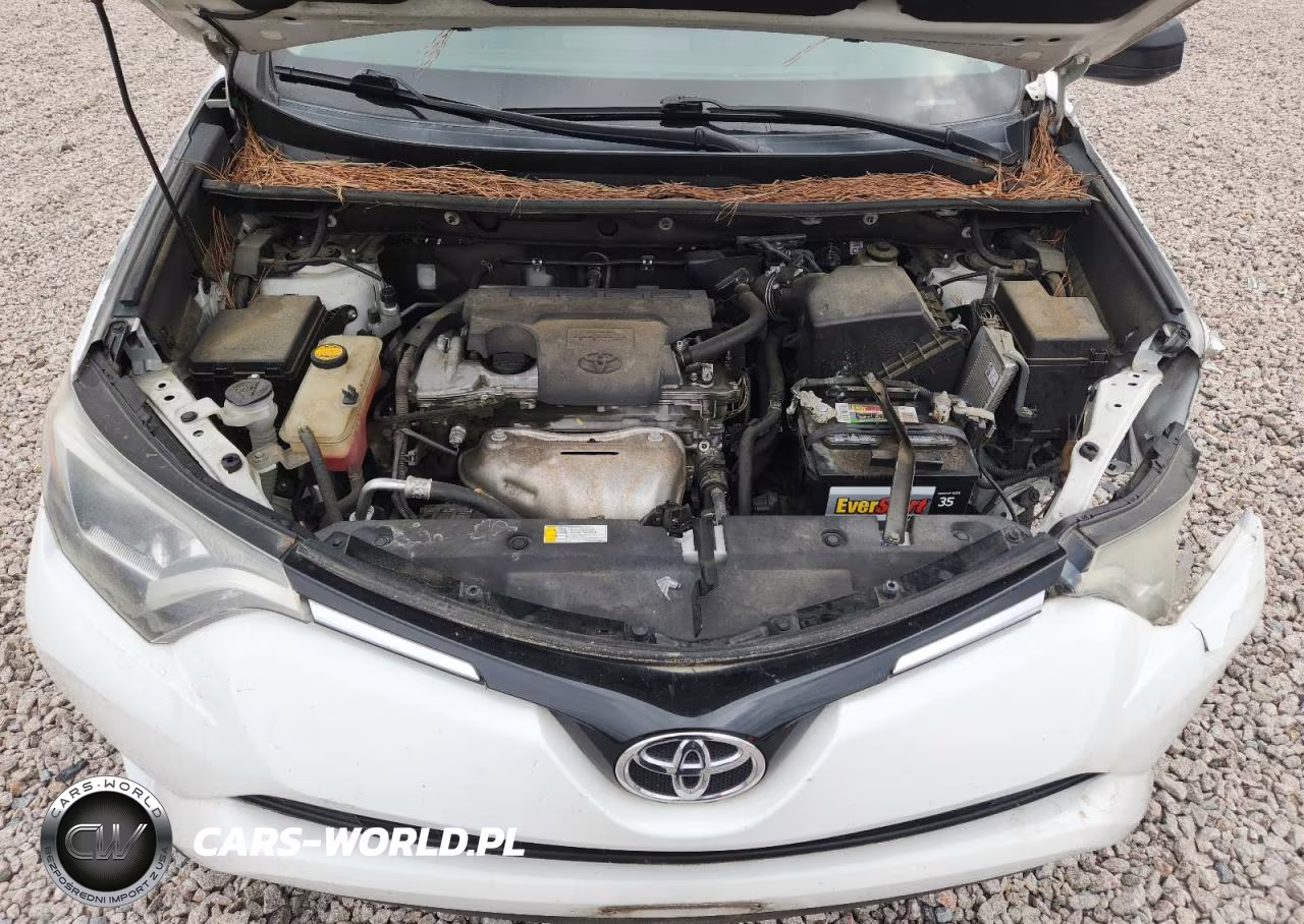 2016 Toyota Rav4 Le VIN:2T3ZFREV8GW305007 - 12