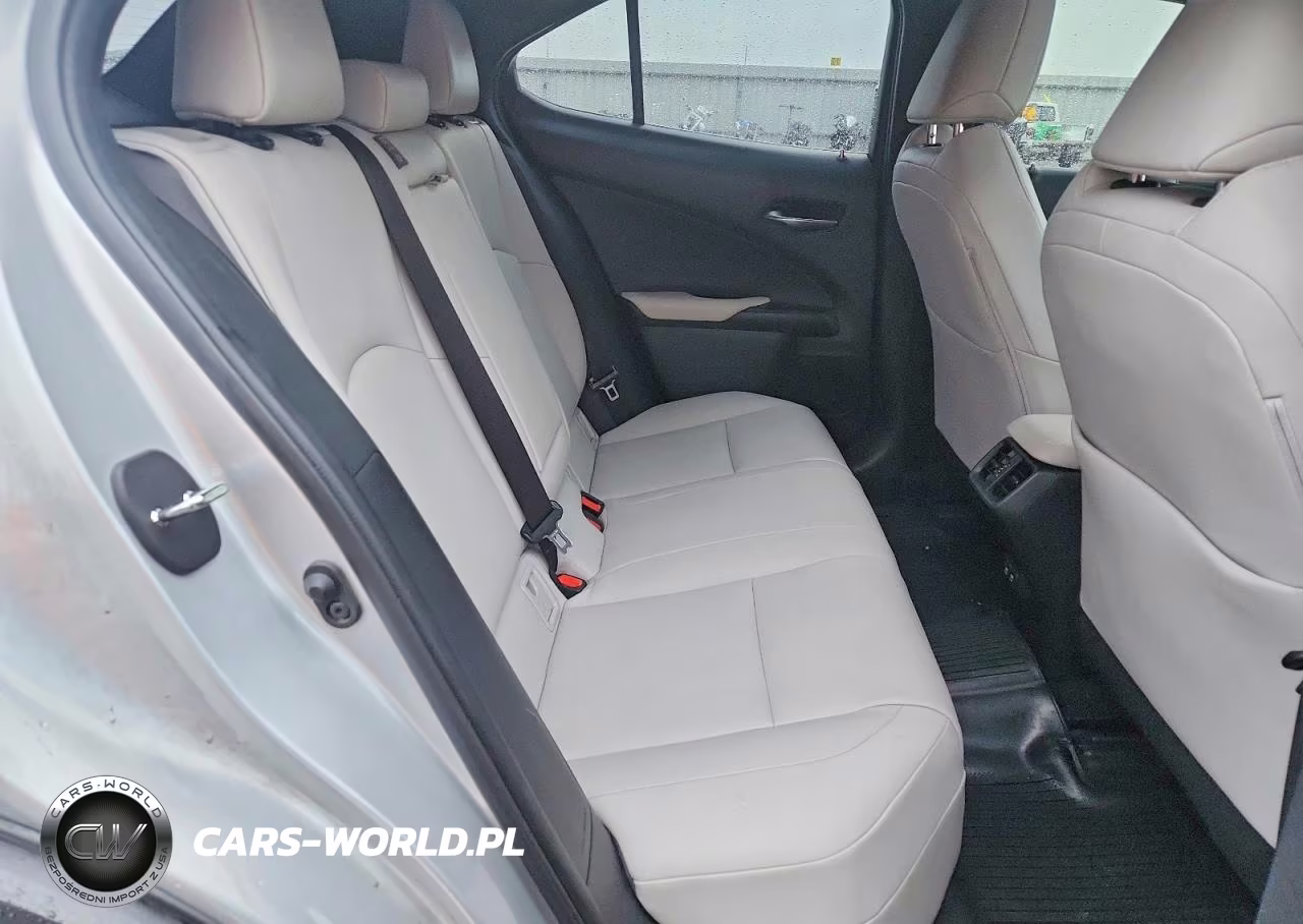 2020 Lexus Ux 200 VIN:JTHP3JBH2L2026251 - 10