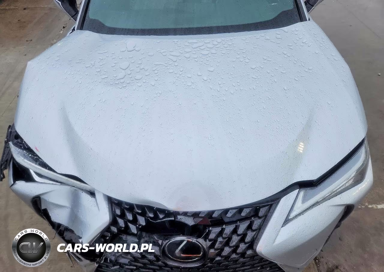2020 Lexus Ux 200 VIN:JTHP3JBH2L2026251 - 11