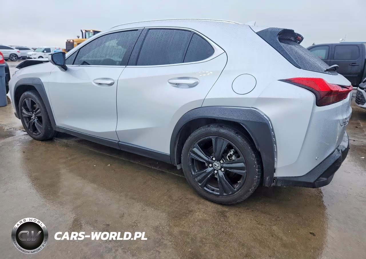 2020 Lexus Ux 200 VIN:JTHP3JBH2L2026251 - 2