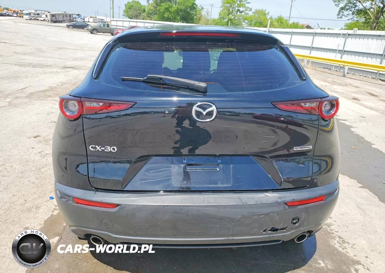 2021 Mazda Cx-30 VIN:3MVDMAAL8MM223974 - 6