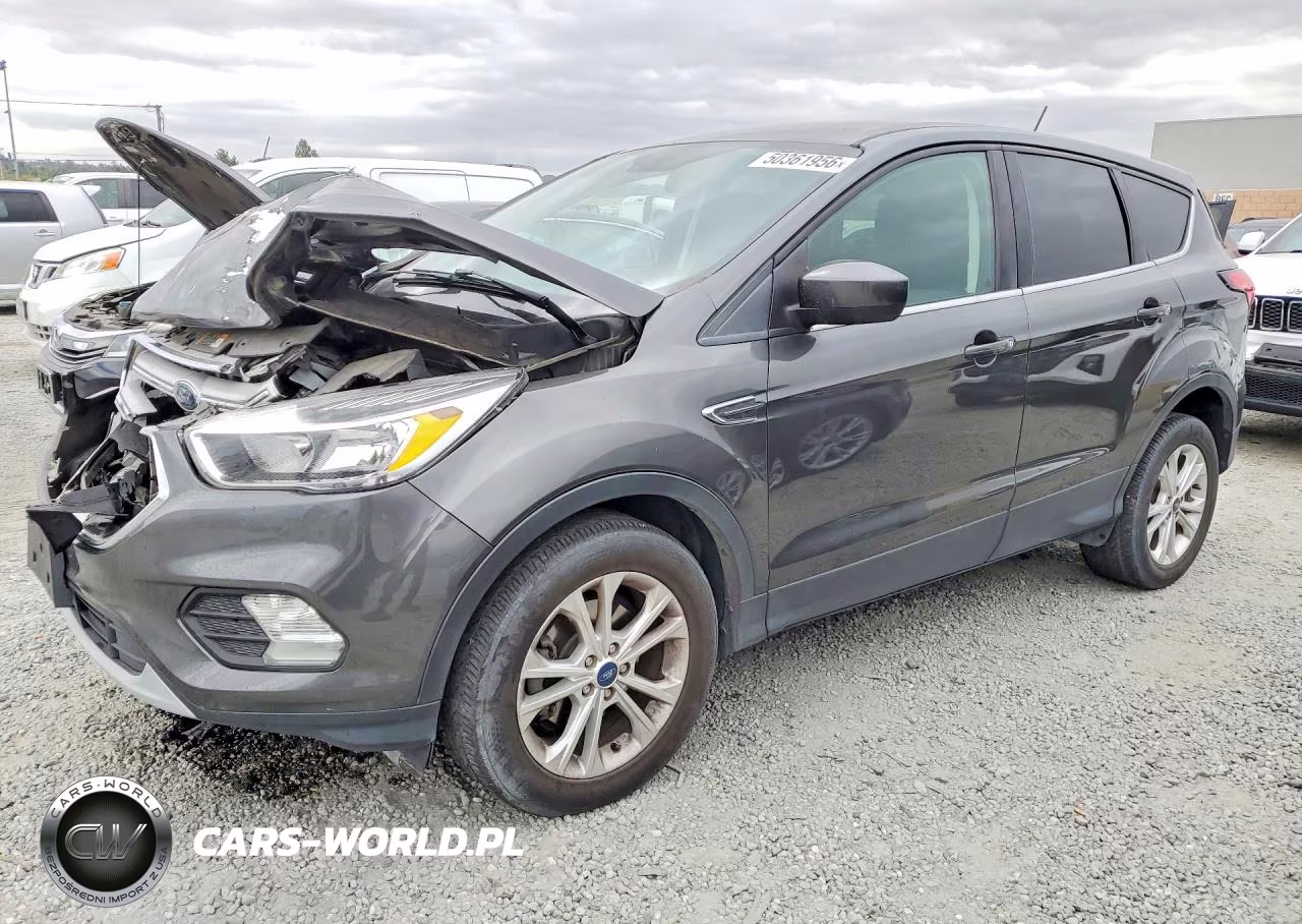 2019 Ford Escape Se