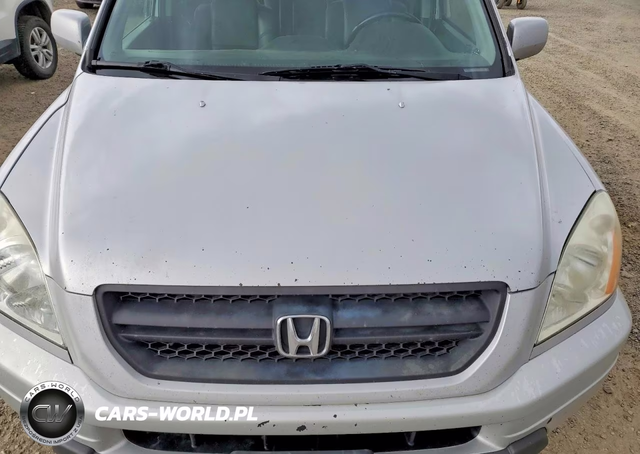 2004 Honda Pilot Exl VIN:2HKYF18744H582945 - 11