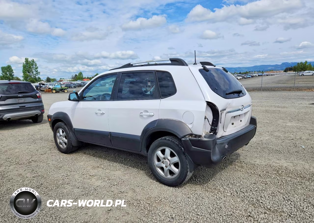 2005 Hyundai Tucson Gls VIN:KM8JN12D25U085396 - 2