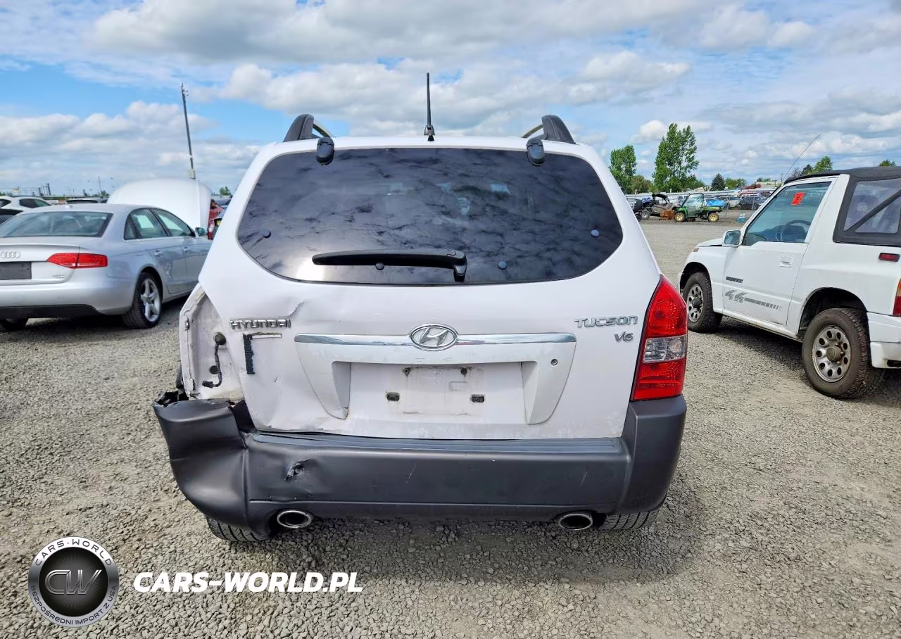 2005 Hyundai Tucson Gls VIN:KM8JN12D25U085396 - 6