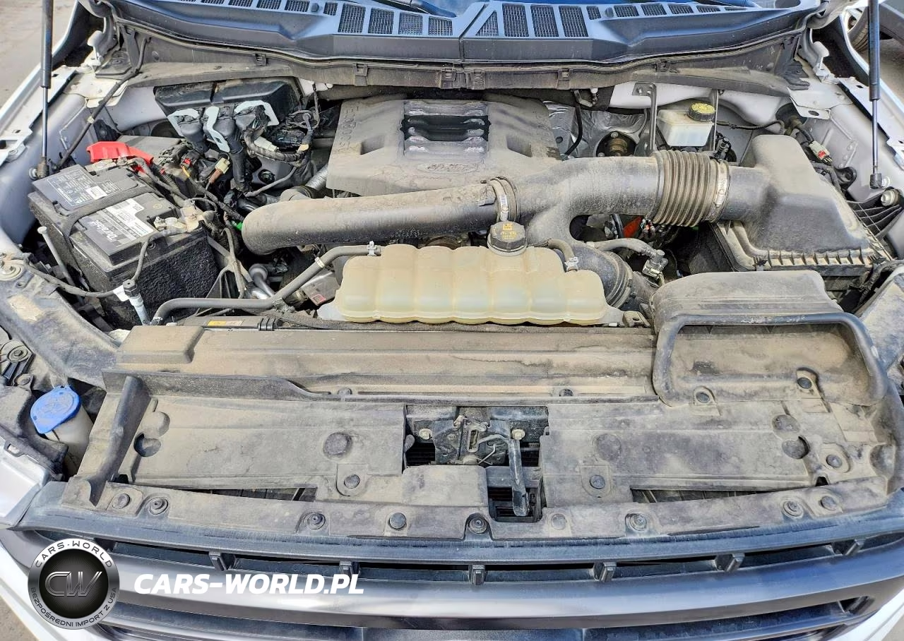 2021 Ford F150 Supercrew VIN:1FTFW1E89MFA62402 - 11