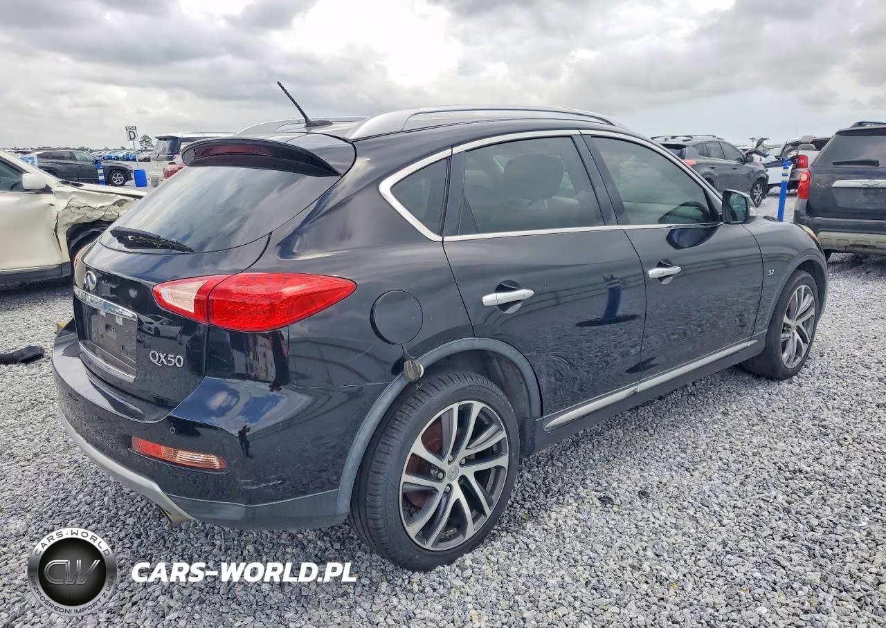 2017 Infiniti Qx50 Base VIN:JN1BJ0RP5HM384709 - 3
